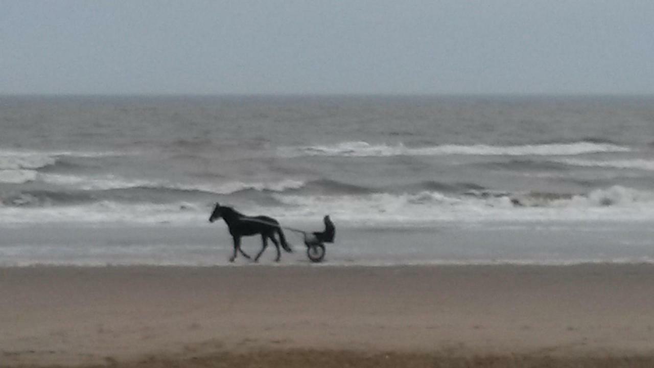 B&B Noordwijk Binnen Esterno foto